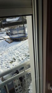 20170122_141037-1494x2656.jpg