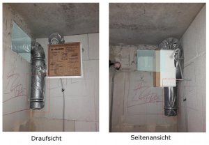 Limodor Raumlüfter.jpg