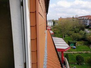 IMG_20170402_143118.jpg