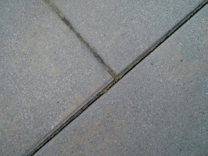 2017-04-01 11.40.26.jpg