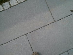 2017-04-01 11.40.21.jpg