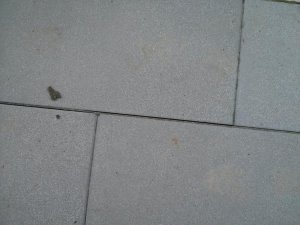 2017-04-01 11.40.11.jpg