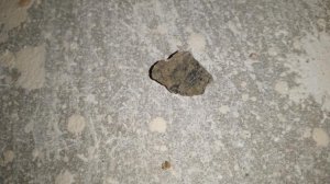 20170410_234244.jpg