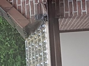 20170412_184602.jpg