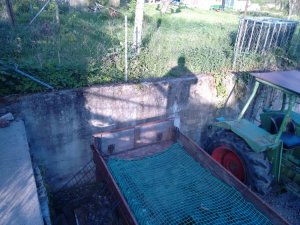 IMG_20170503_191847.jpg
