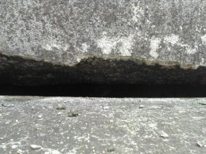 IMG_20170514_152533.jpg