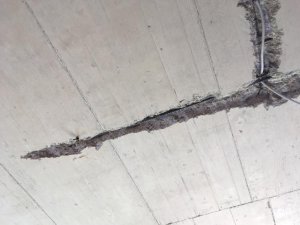 IMG_0407.jpg