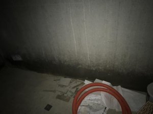 IMG_3484.jpg
