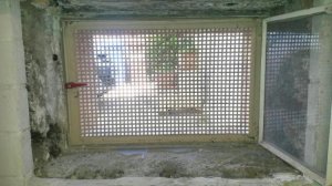 IMG-20170526-WA0001.jpg