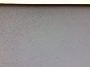 IMG_6215.JPG