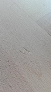 IMG_20170507_113121.jpg