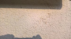 WP_20170405_09_11_29_Pro.jpg