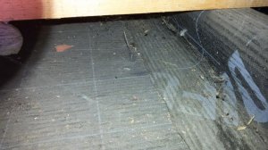 20170610_113042.jpg