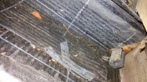 20170610_113238.jpg