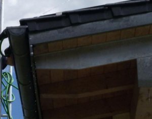 20170610_114921ba.jpg