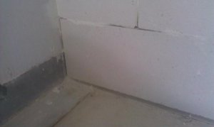 IMAG0074.jpg