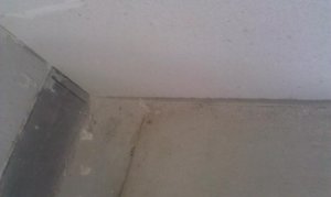 IMAG0075.jpg
