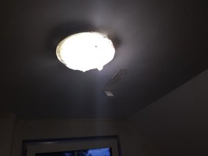 20170711_213055_resized.jpg