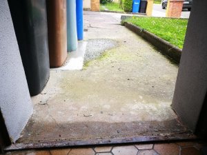 IMG_20170714_134027.jpg