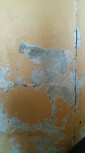 IMG-20170711-WA0007.jpg
