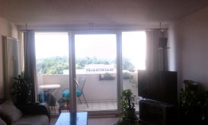 IMG_20170722_1037381.jpg