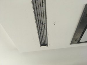 IMG_3606.jpg