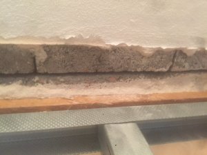 IMG_3556.jpg