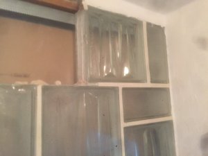 IMG_3557.jpg