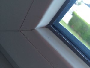2017-09-15-PHOTO-00000029.jpg
