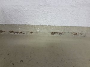 20170921_190147.jpg
