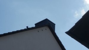 20170916_130111.jpg