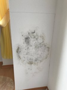 image1.JPG