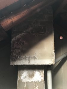 image3.JPG