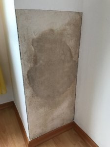 image4.JPG