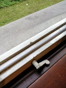 IMG_20170928_140603.jpg