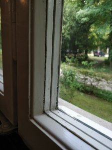 IMG_20170928_140143.jpg