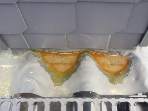 20170922_110930.jpg