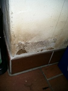 20171005_115437.jpg