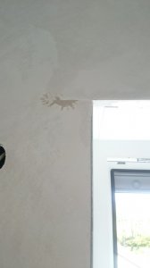 DSC_3330.jpg