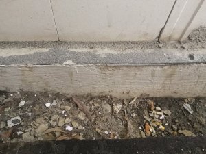 IMG_20171010_180837.jpg