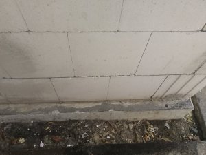 IMG_20171010_180827.jpg