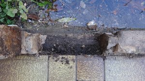 Springbrunnenbeckenumrandung, undichte Becken-Stein-Verbindung.JPG