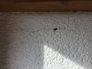 IMG_0095.JPG