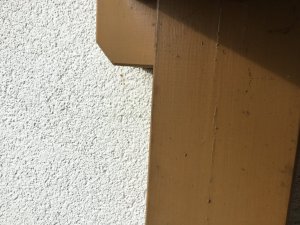 IMG_0098.JPG