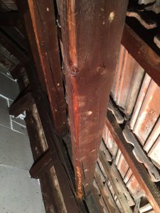 IMG_0302.JPEG