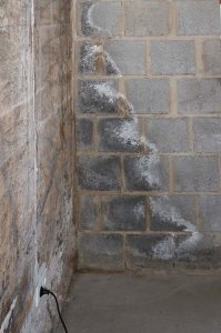 Bild_0001.jpg
