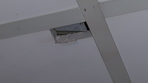 20171117_072439.jpg