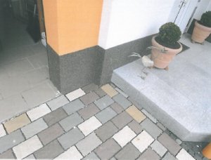 Garage rechts.jpg