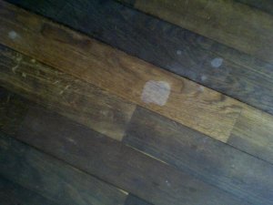 IMG-20130105-00114.jpg