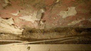 IMG_20171117_102035.jpg